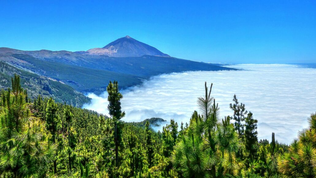 Panorámica del mar de nubes en la Corona Forestal