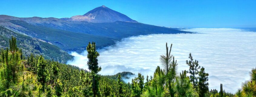 Panorámica del mar de nubes en la Corona Forestal