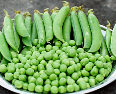 Arvejas