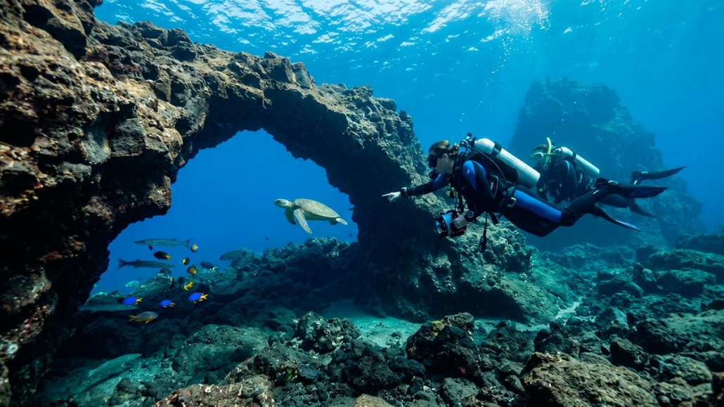 Buceo (diving) en Tenerife