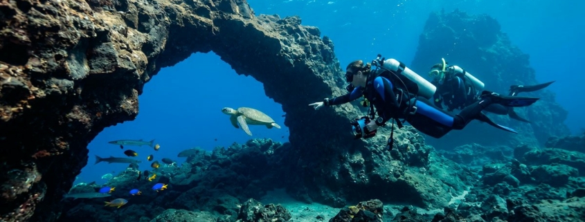 Buceo (diving) en Tenerife